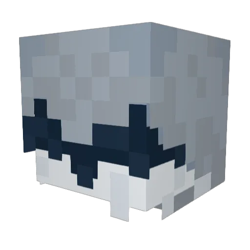 PRandomG Minecraft avatar head, 3D render