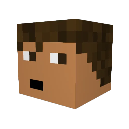 PSI_Lucas Minecraft avatar head, 3D render