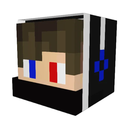 PSN_Chocapic666 Minecraft avatar head, 3D render