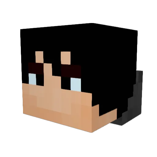 PSTS Minecraft avatar head, 3D render