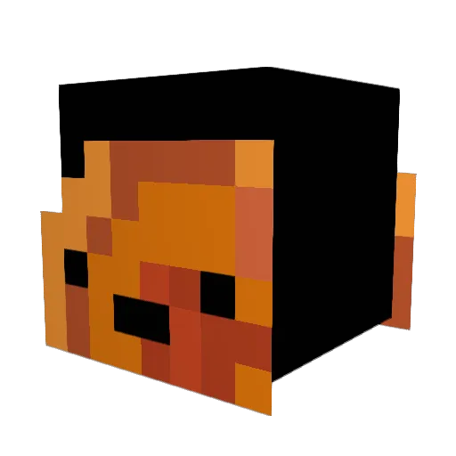 PTBarnum25 Minecraft avatar head, 3D render