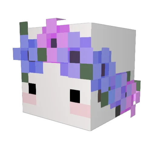 PTG123 Minecraft avatar head, 3D render