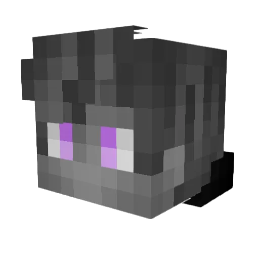 PTH Minecraft avatar head, 3D render