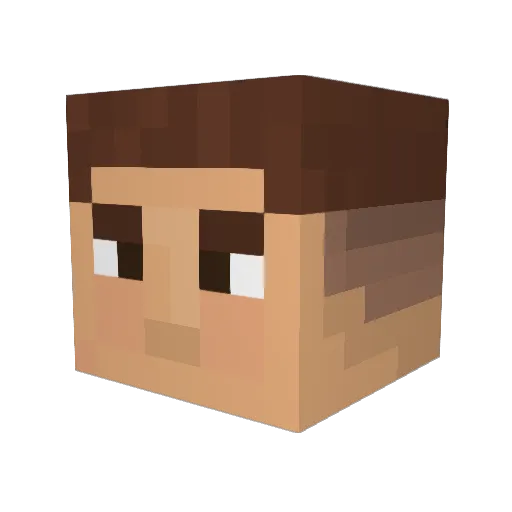 PTIREGO Minecraft avatar head, 3D render