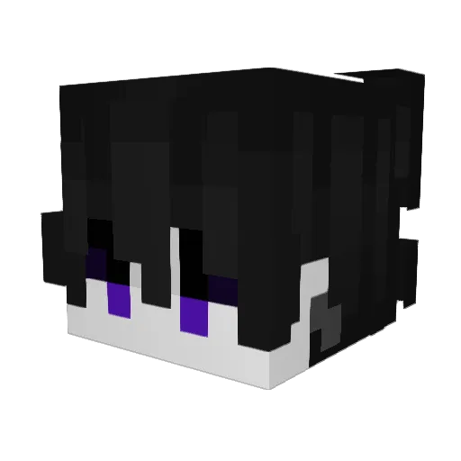 PTManager Minecraft avatar head, 3D render