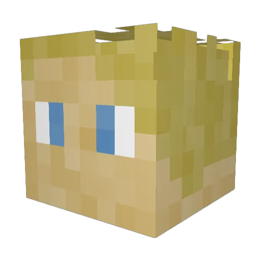 PTSYNC Minecraft avatar head, 3D render