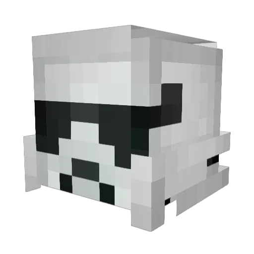 PTime11 Minecraft avatar head, 3D render