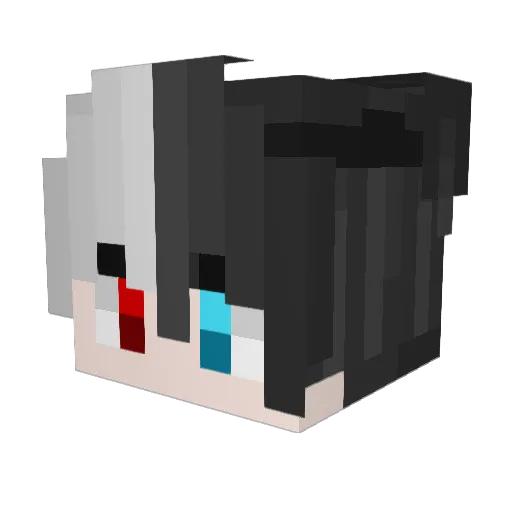 PTzNaJa Minecraft avatar head, 3D render