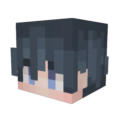 PUCKONADA Minecraft avatar head, 3D render