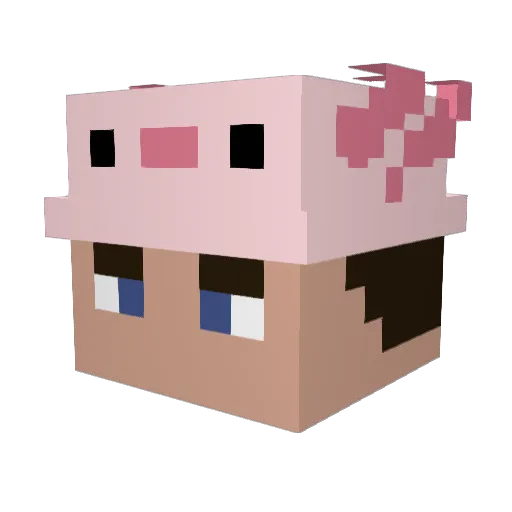 PUMAkun6 Minecraft avatar head, 3D render