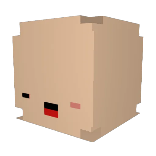 PUMKINNNN Minecraft avatar head, 3D render
