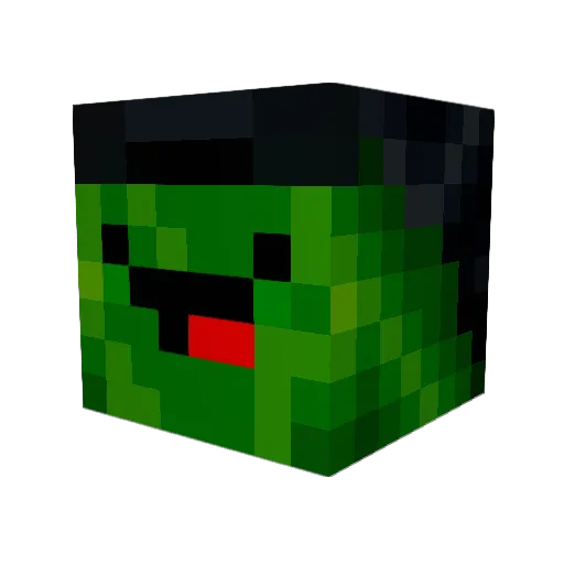 PUNCH1NGG1ANT Minecraft avatar head, 3D render