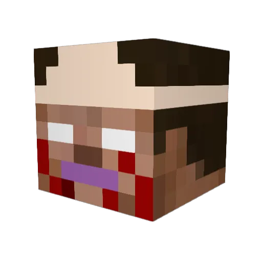 PUNKMAN11 Minecraft avatar head, 3D render