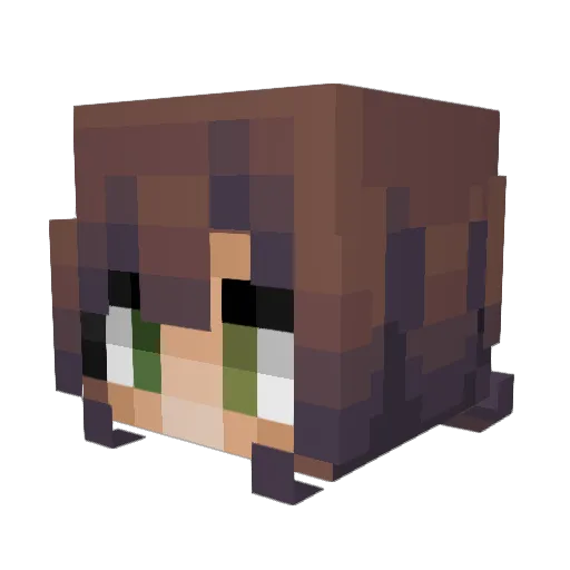 PUPPYLUV30 Minecraft avatar head, 3D render