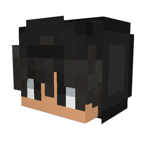 PURPULSEOVERYOU Minecraft avatar head, 3D render