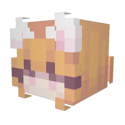 PUSZOLINA Minecraft avatar head, 3D render