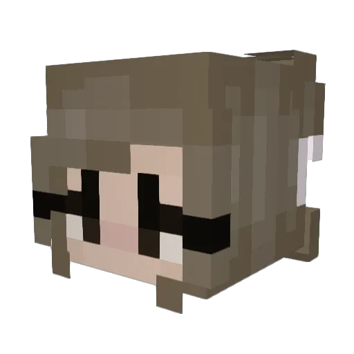 PUSZYSTAyt Minecraft avatar head, 3D render