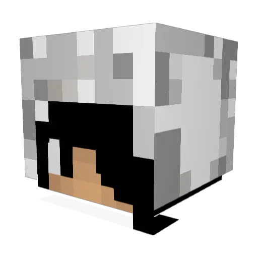 PVNDABEAR Minecraft avatar head, 3D render