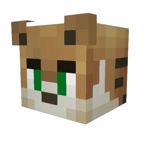 PVP_PRO999 Minecraft avatar head, 3D render