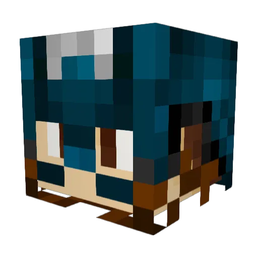 PW_Payer Minecraft avatar head, 3D render