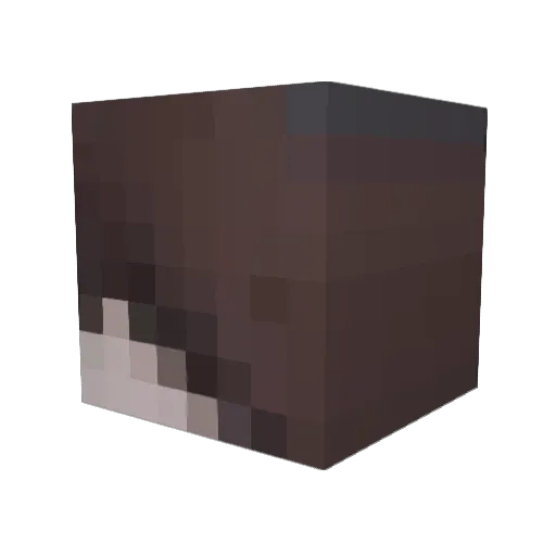 PXGG3RS Minecraft avatar head, 3D render