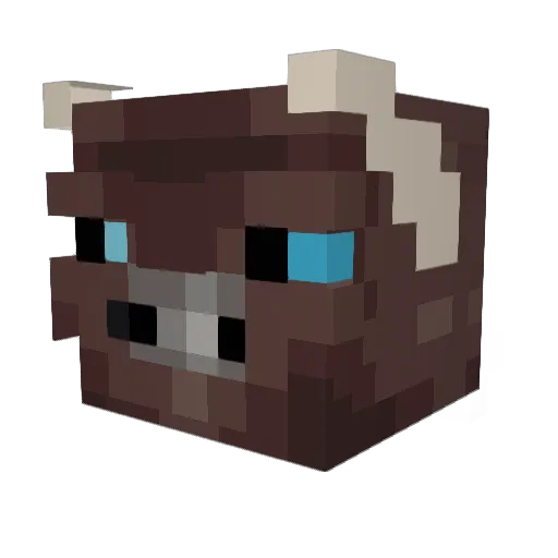 PYRA4 Minecraft avatar head, 3D render