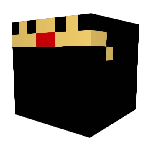 PYTHON_2014 Minecraft avatar head, 3D render