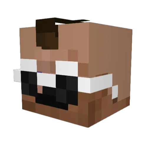 P_C Minecraft avatar head, 3D render