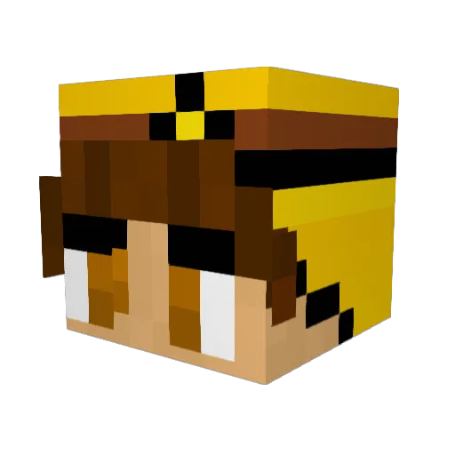 P_H_T Minecraft avatar head, 3D render