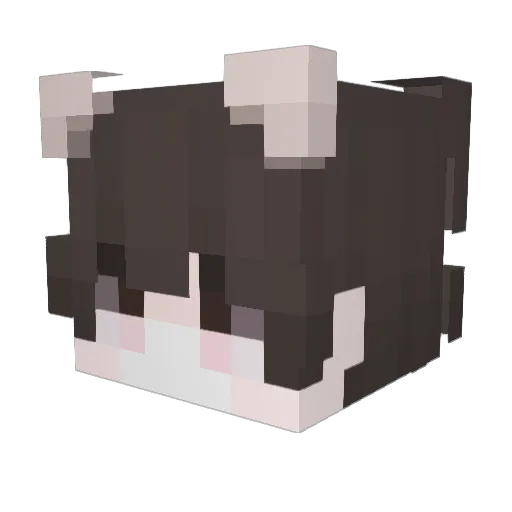 P_Jwan Minecraft avatar head, 3D render