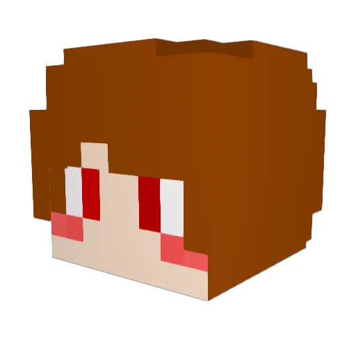 P_Lane Minecraft avatar head, 3D render