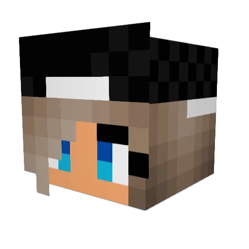 P_Money69 Minecraft avatar head, 3D render