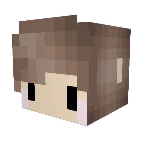 P_O_M_E Minecraft avatar head, 3D render