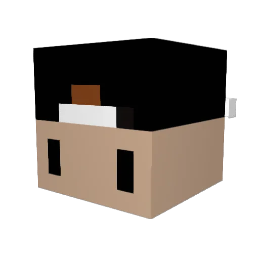 P_Phizzle Minecraft avatar head, 3D render