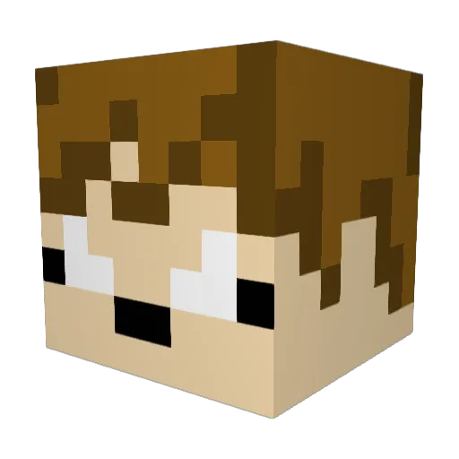 P_Shaz Minecraft avatar head, 3D render