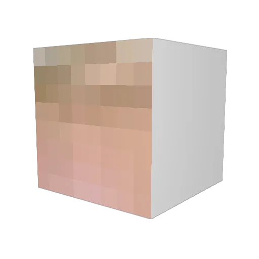 P_U_T_I_N Minecraft avatar head, 3D render