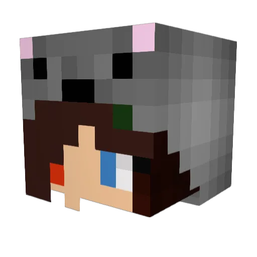 P___Minh Minecraft avatar head, 3D render