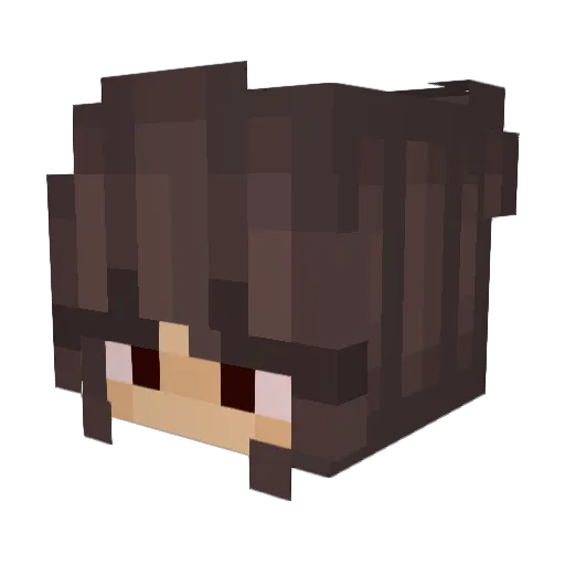 P_cruz Minecraft avatar head, 3D render