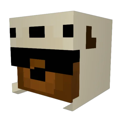 P_otter360 Minecraft avatar head, 3D render