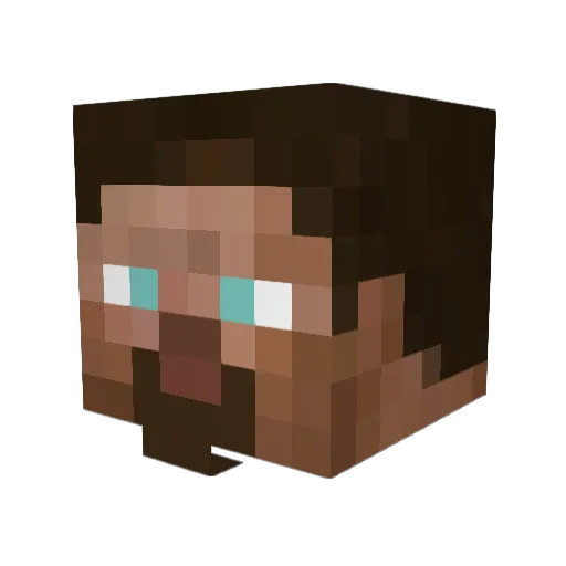 Pa1adin_ Minecraft avatar head, 3D render