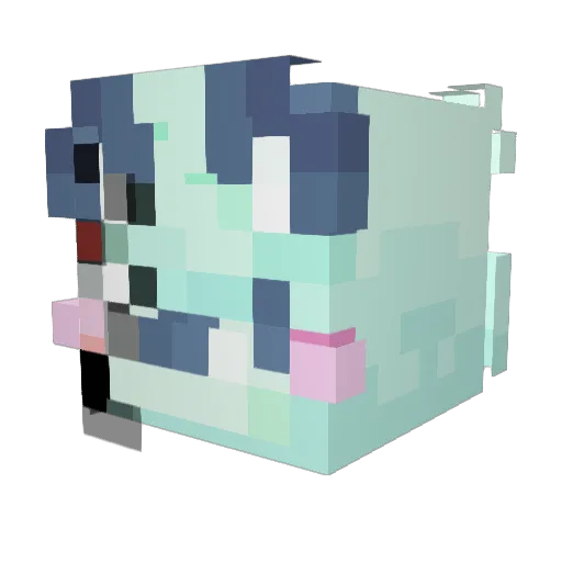 Pa1k4a Minecraft avatar head, 3D render