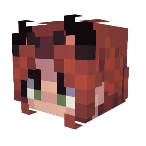 Pa1nFluff Minecraft avatar head, 3D render