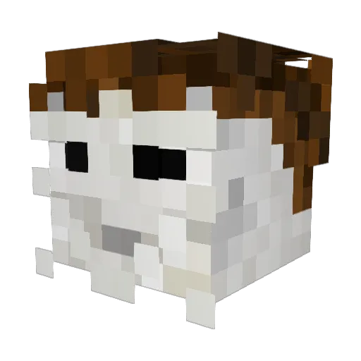 Pa1nyy Minecraft avatar head, 3D render