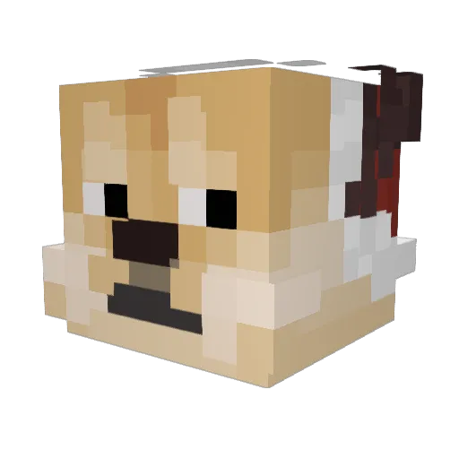 PaBel56 Minecraft avatar head, 3D render