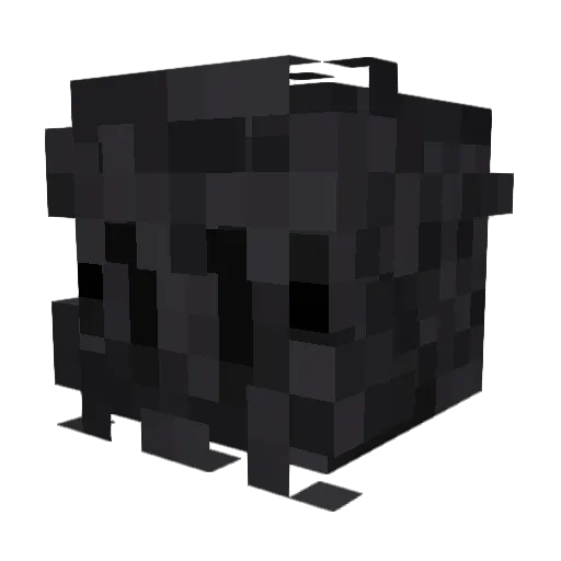 PaGamer_21 Minecraft avatar head, 3D render
