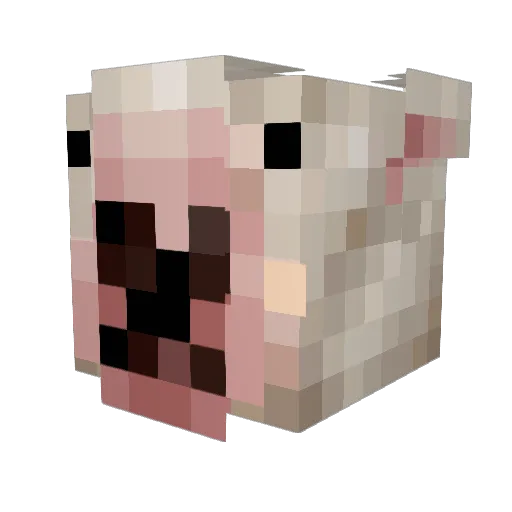 PaIucho Minecraft avatar head, 3D render