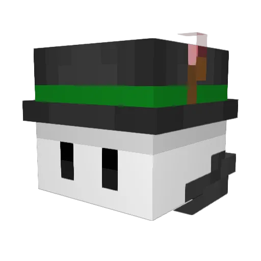 PaJoWi Minecraft avatar head, 3D render
