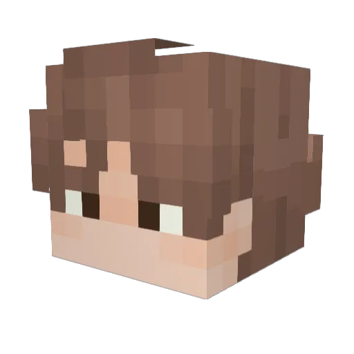 PaKSeT Minecraft avatar head, 3D render