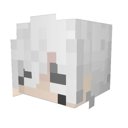 PaLE_duoge Minecraft avatar head, 3D render