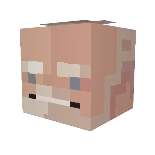PaLo86 Minecraft avatar head, 3D render
